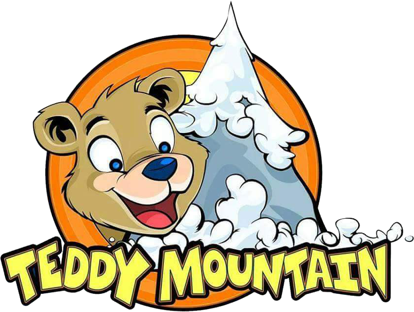 teddy mountain home